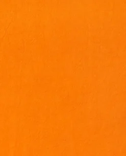 Débardeur En Tissu - Orange