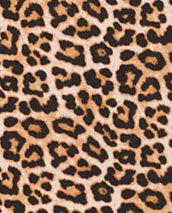 Top Encolure Bardot Motif Léopard - Marron