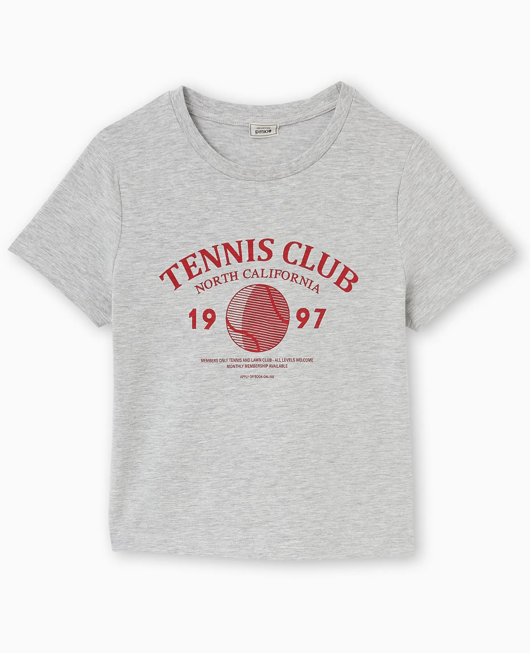 T-shirt Ajusté Avec Print Devant - Gris Chiné